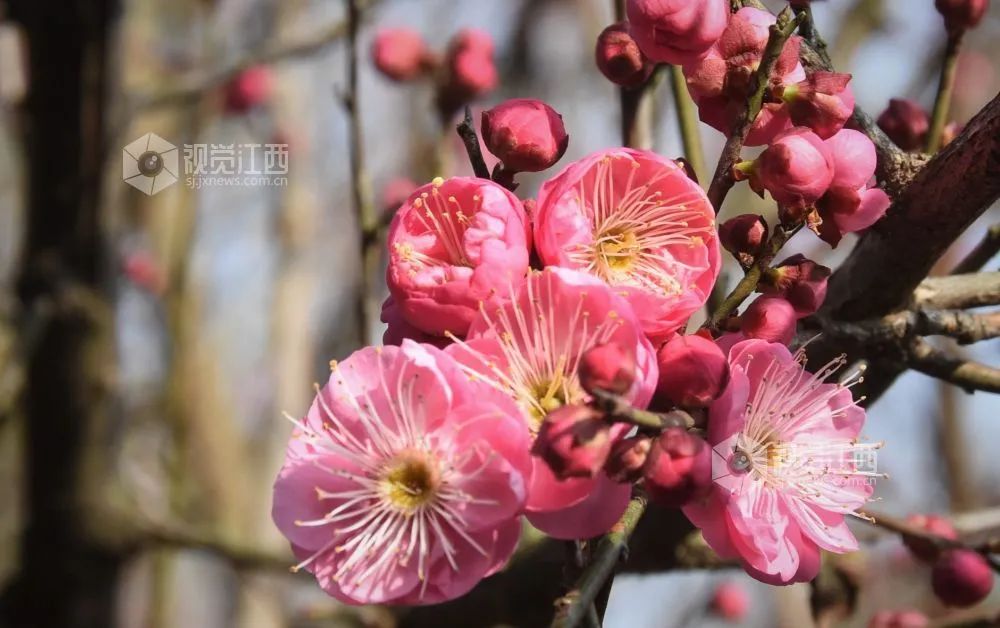 守住幸福“腊味” 保住晴朗蓝天