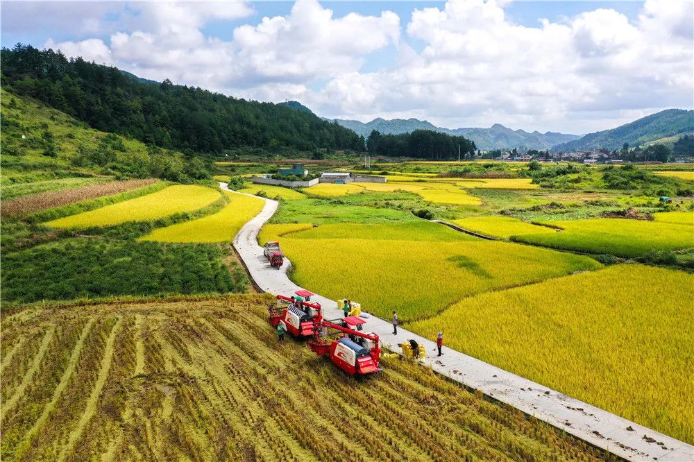 除了8.1%，还有这些数字，同样意味深长！