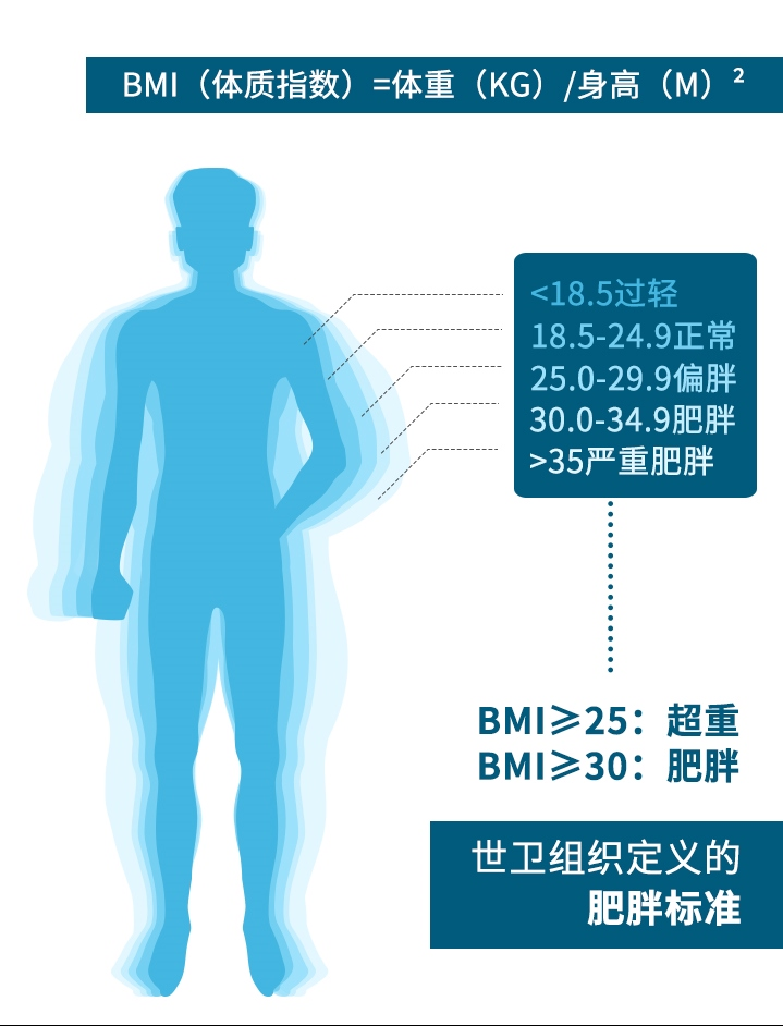 有钱难买老来瘦？医生辟谣：老年时微胖最长寿！