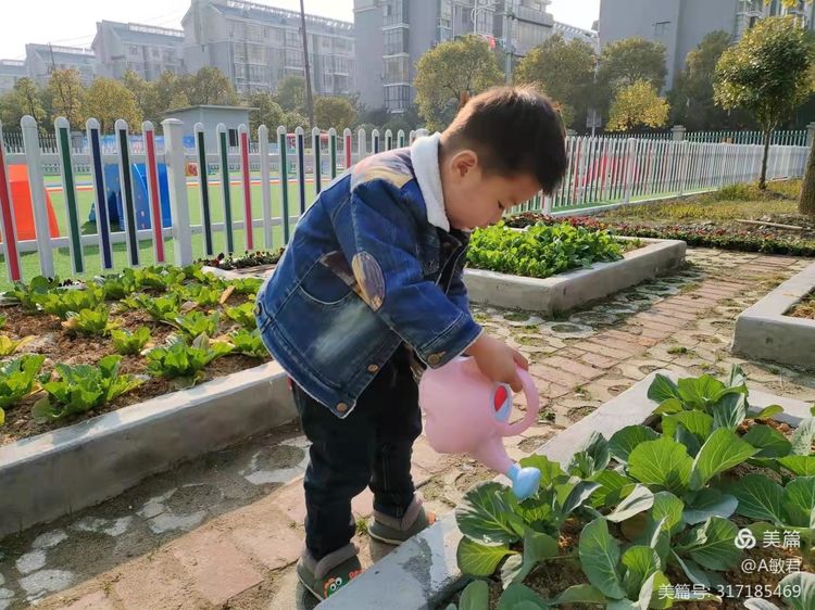 分宜县妇幼保健院托育服务中心春季招生啦！