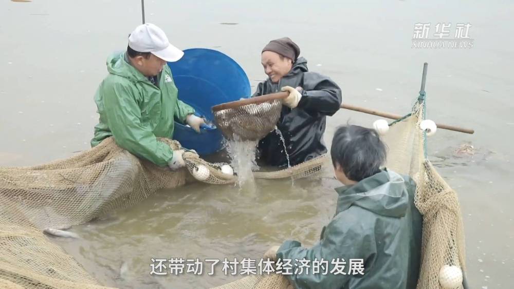 新春走基层·巡江记 | 这152公里的长江岸线藏着怎样的生态密码？