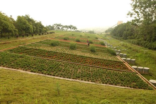 江西水保生态科技园水利风景区纳入国家典型案例