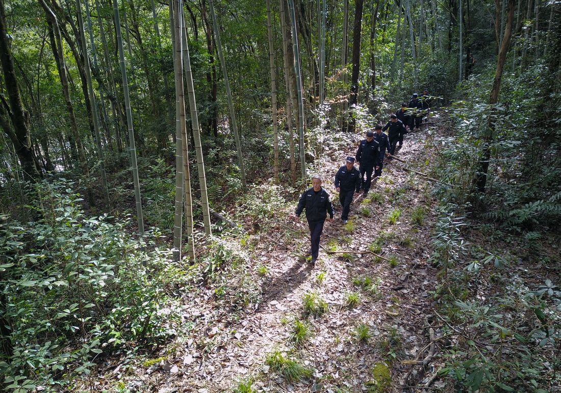 武夷山国家公园里的“巡山人”