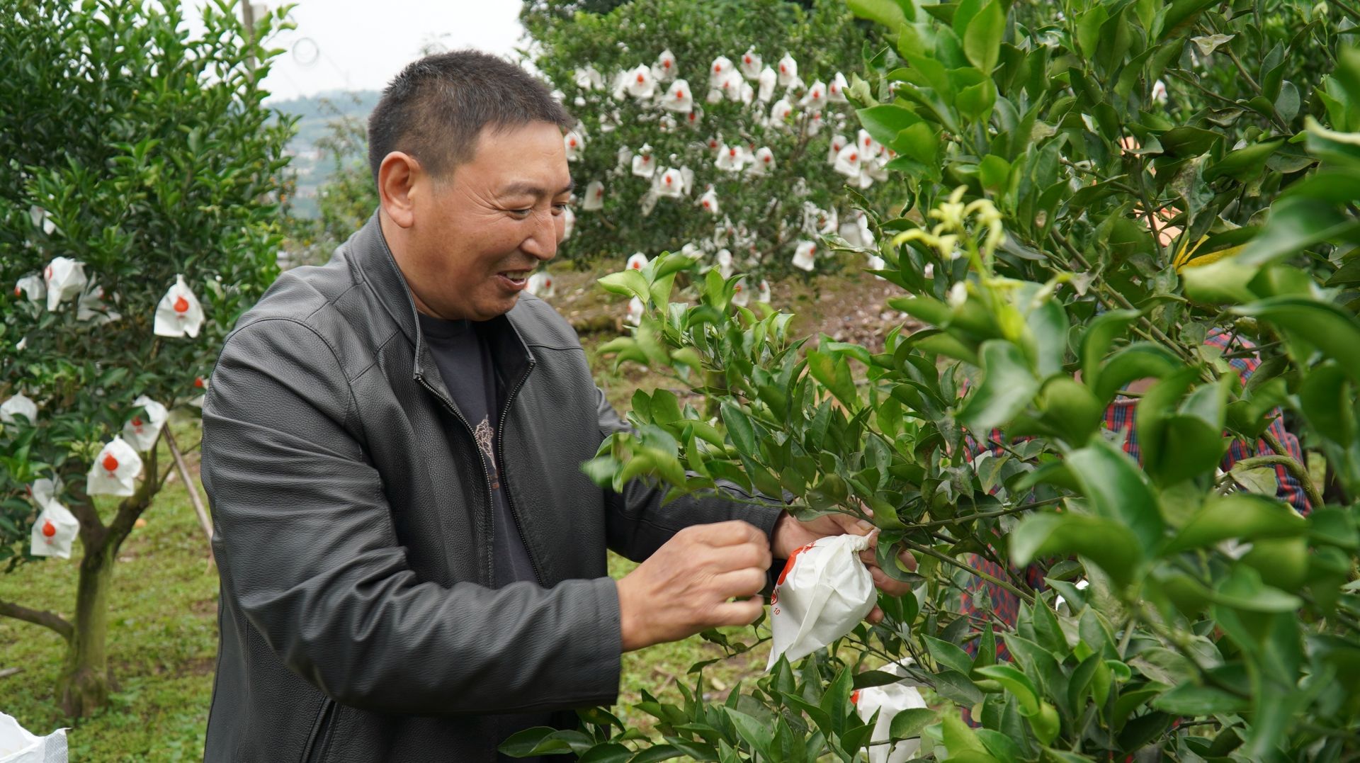 谢召礼：当好“村小二” 做百姓致富领路人