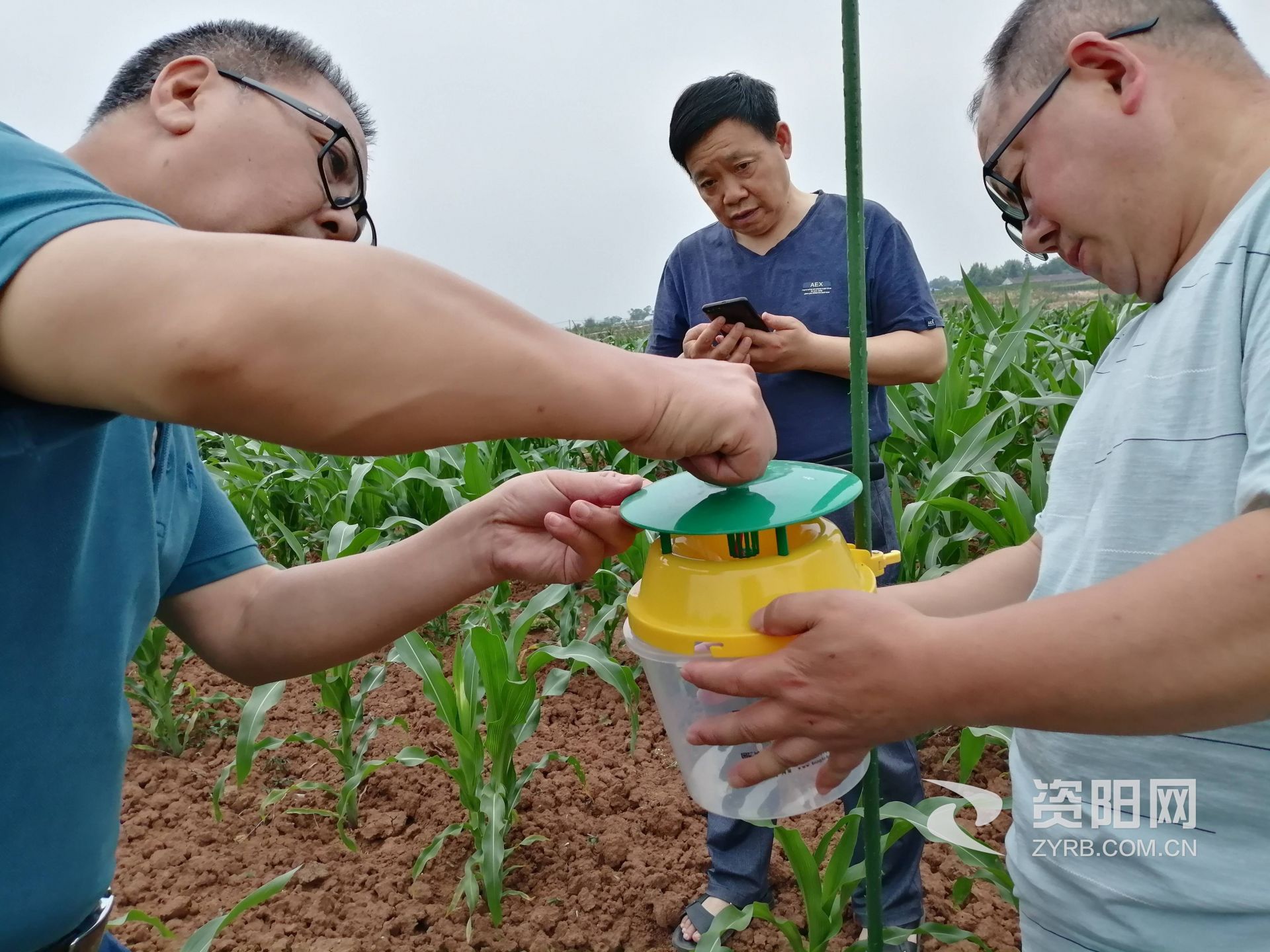 贾勇：当好农民的庄稼卫士