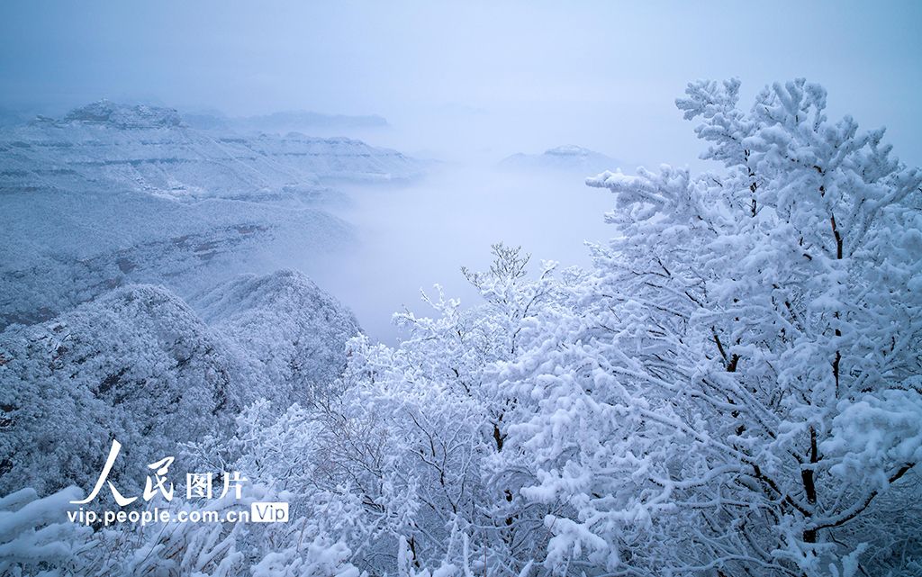 雪后王屋山壮美如画