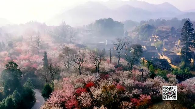 虎年虎将故里过福年，宁德屏南10条旅游“福”线等您来