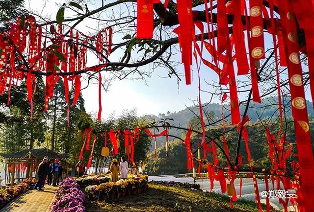 虎年虎将故里过福年，宁德屏南10条旅游“福”线等您来