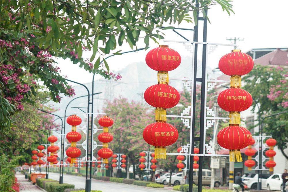 漳州龙文：文明之花次第开 “福”满龙文迎新年