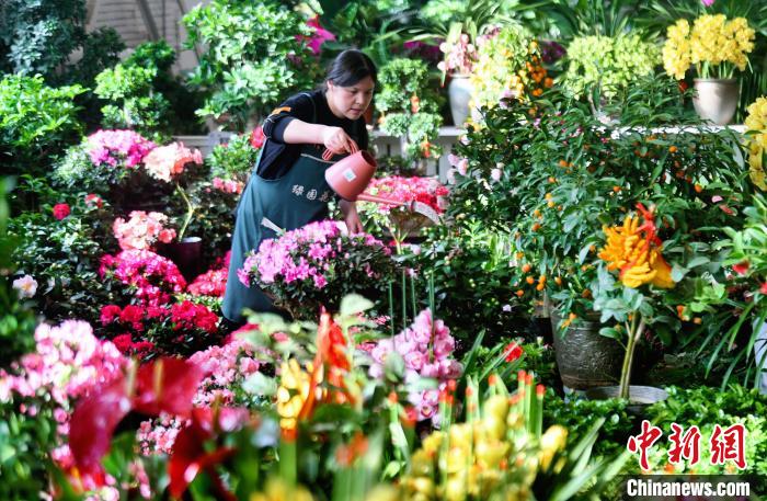 宁夏银川：年味渐浓 花卉走俏节日市场