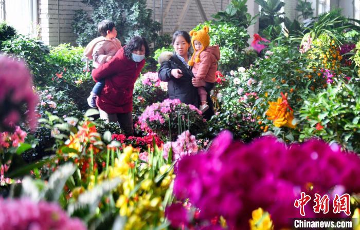 宁夏银川：年味渐浓 花卉走俏节日市场