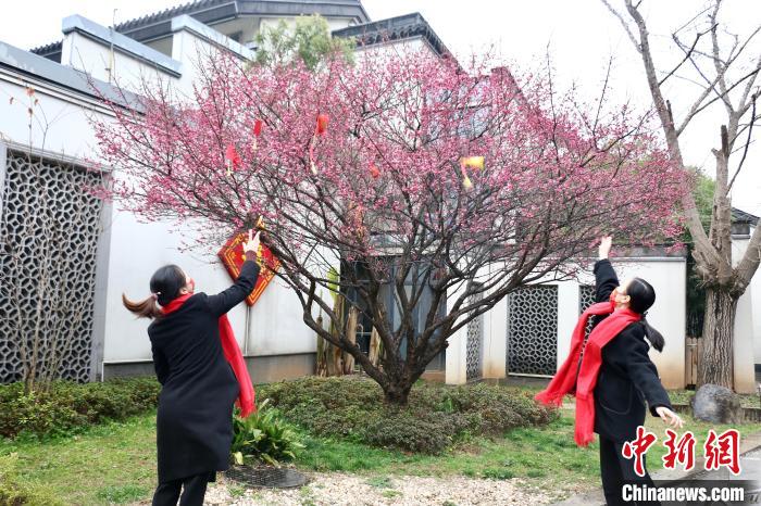 访浙江绍兴鲁迅故里：大年初一年味浓 民众细雨中祈福