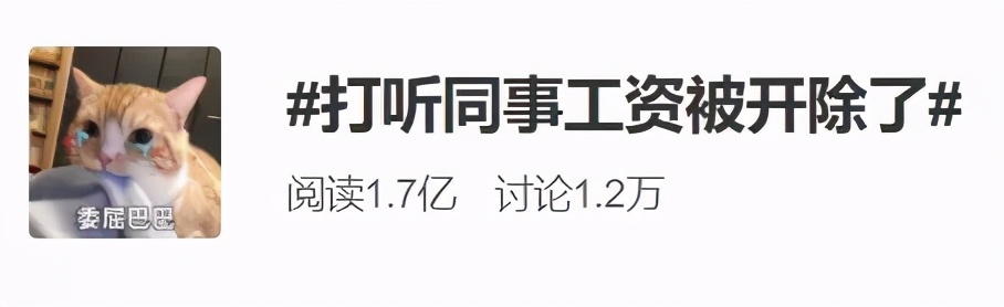 打听同事工资被开除（法院判决来了）