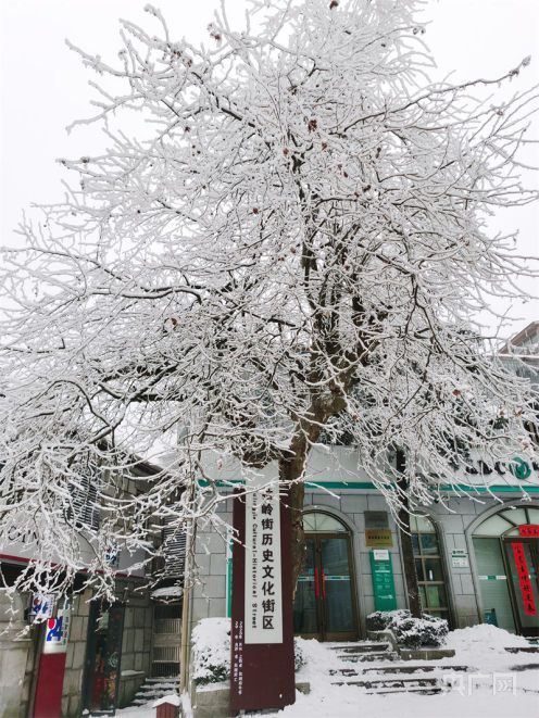 【冬韵美】庐山降瑞雪 游客开心过大年