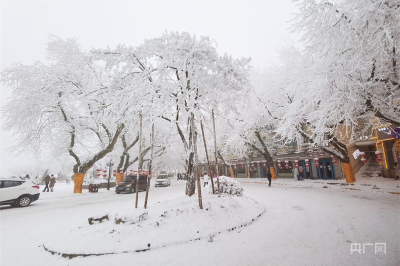 【冬韵美】庐山降瑞雪 游客开心过大年