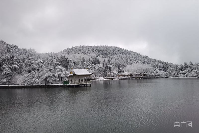 【冬韵美】庐山降瑞雪 游客开心过大年