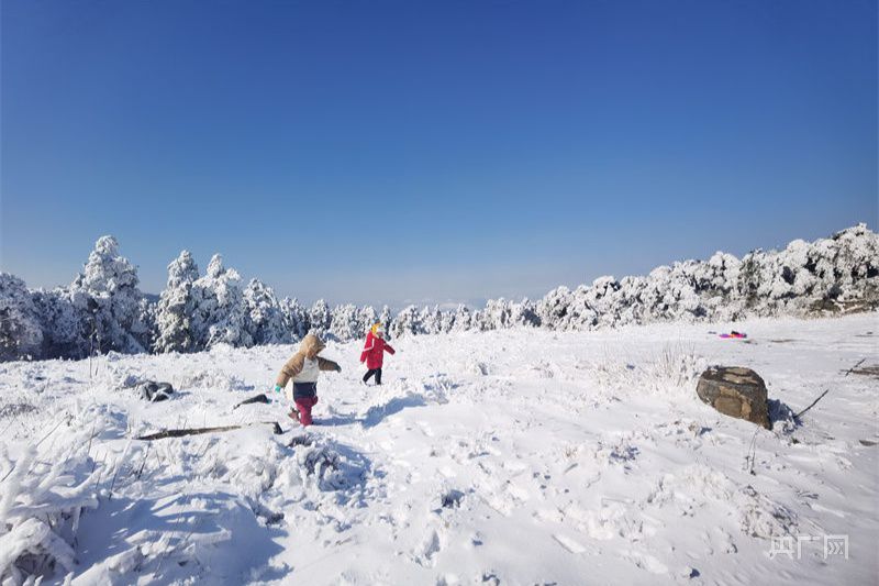 【冬韵美】庐山降瑞雪 游客开心过大年