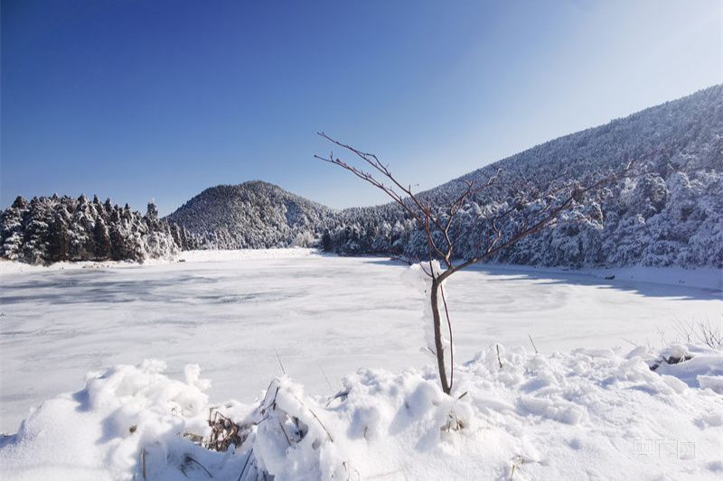 【冬韵美】庐山降瑞雪 游客开心过大年