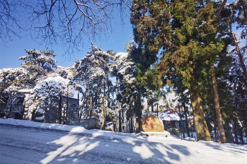 【冬韵美】庐山降瑞雪 游客开心过大年