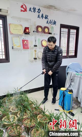 西湖守兰人的春节美丽故事：花苞为伴 手留余香