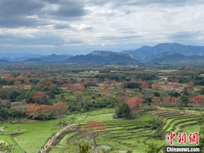 春节海南“西游记”：赏木棉、探岩洞、观日出