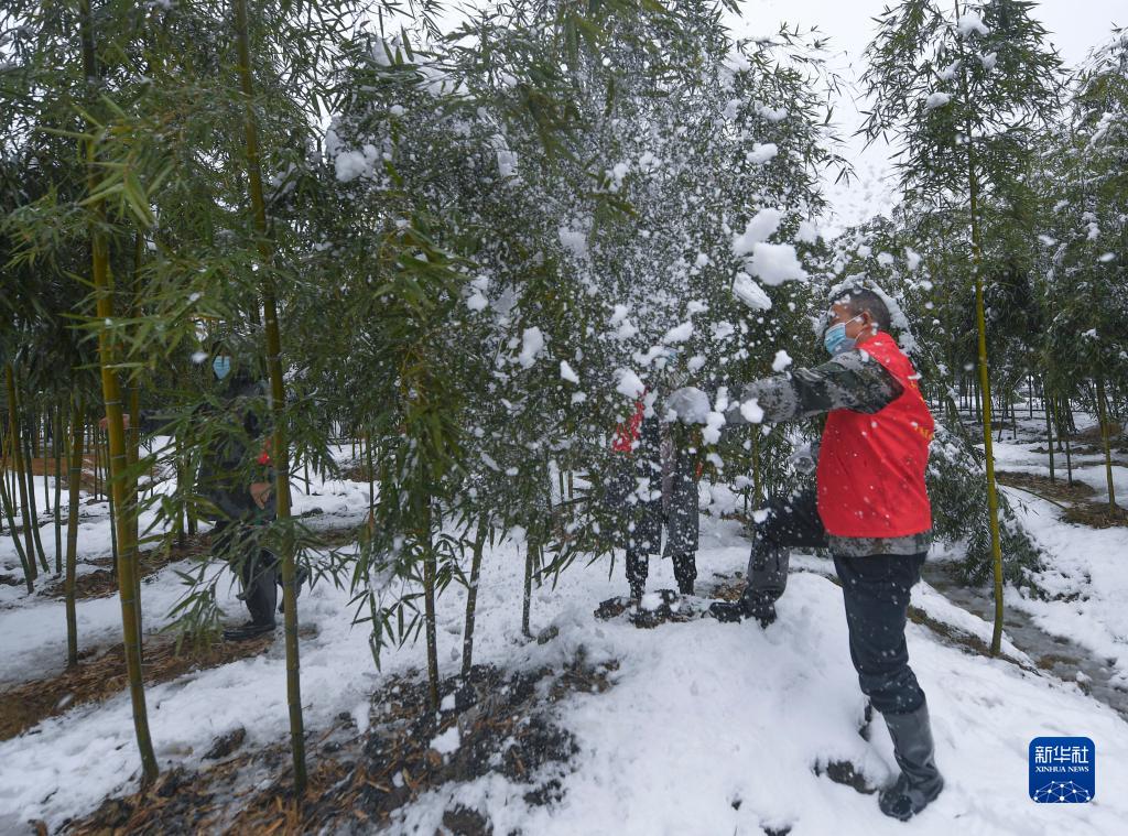 抗雪保民生