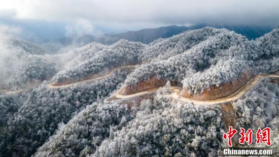 大岗山主峰换银装 呈现冰棱雾凇美景