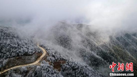 大岗山主峰换银装 呈现冰棱雾凇美景