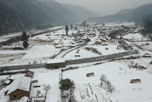 陕西周至县：顶风冒雪翻秦岭 第一书记卖猪肉