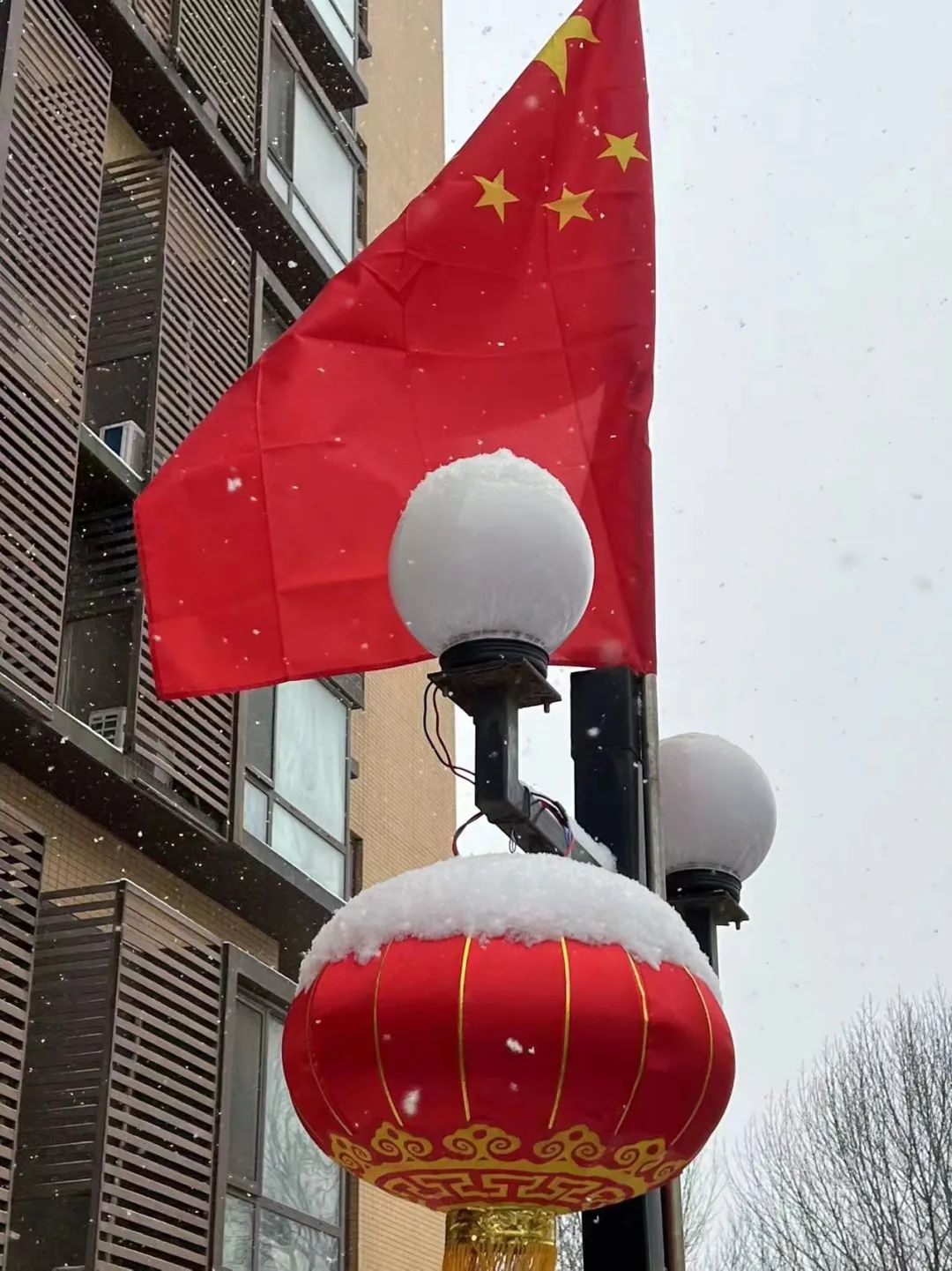 大雪和雪容融的适配度有多高？网友：人手一个不是梦