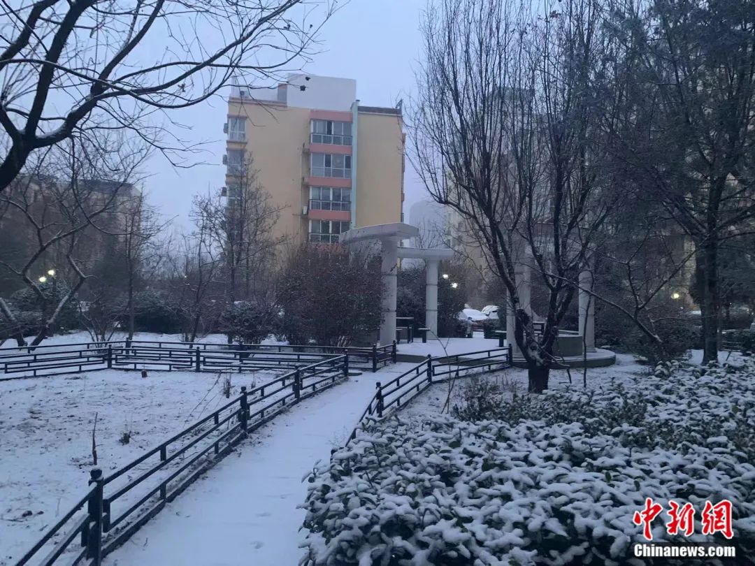 大雪和雪容融的适配度有多高？网友：人手一个不是梦