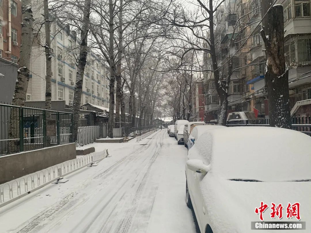 大雪和雪容融的适配度有多高？网友：人手一个不是梦