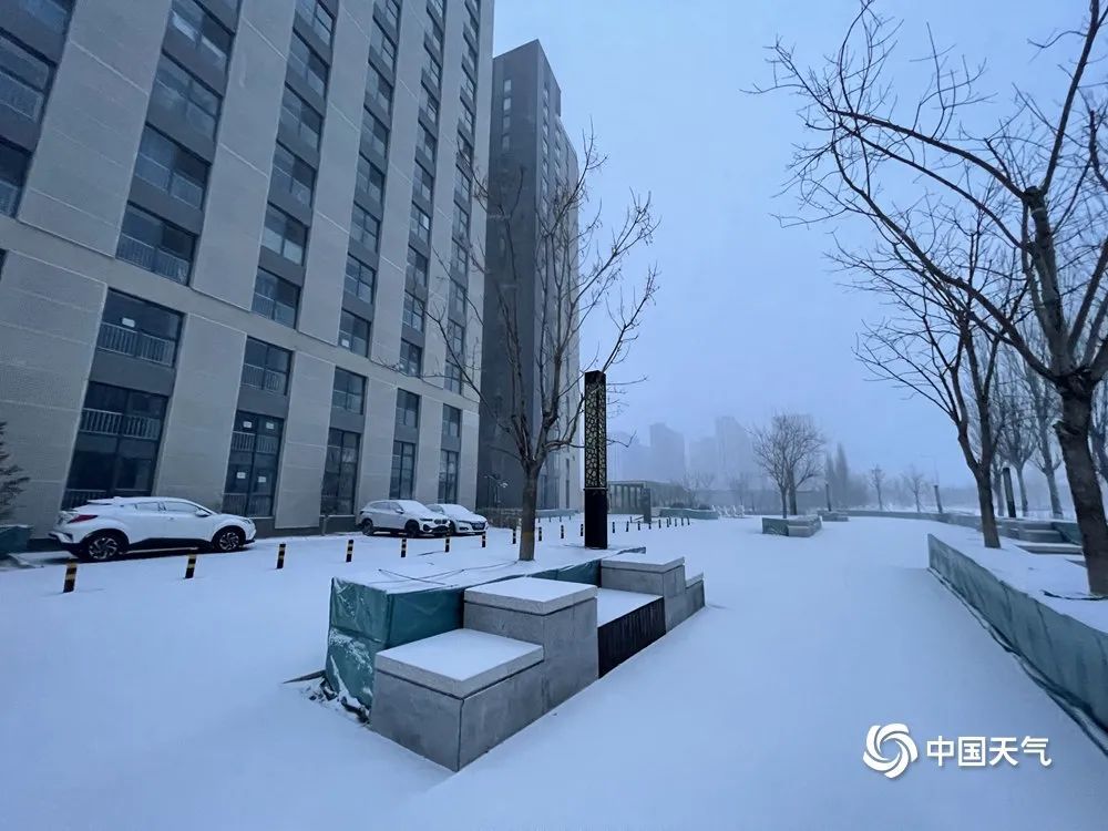 大雪和雪容融的适配度有多高？网友：人手一个不是梦