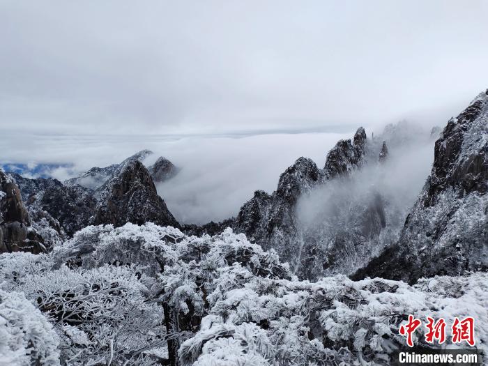 安徽黄山雪后云海妆成 网友直呼“太好看”