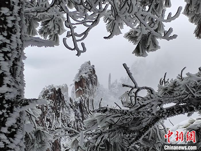 安徽黄山雪后云海妆成 网友直呼“太好看”