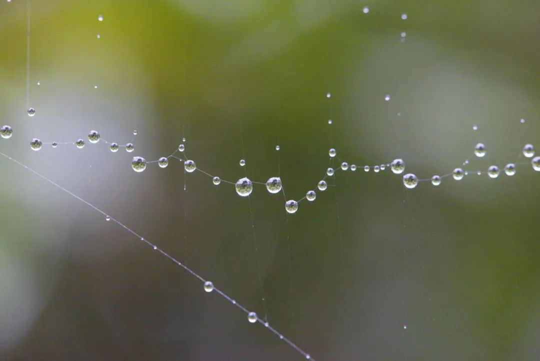 雨水！