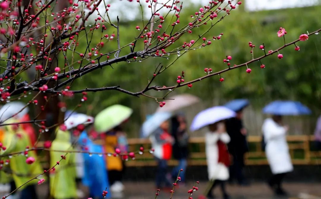 雨水！