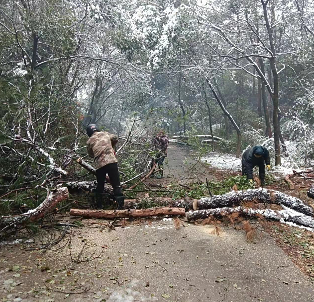 湖泽镇全力以赴应对降雪天气