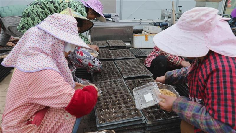 江西寻乌：撸起袖子加油干 不负新春好时节