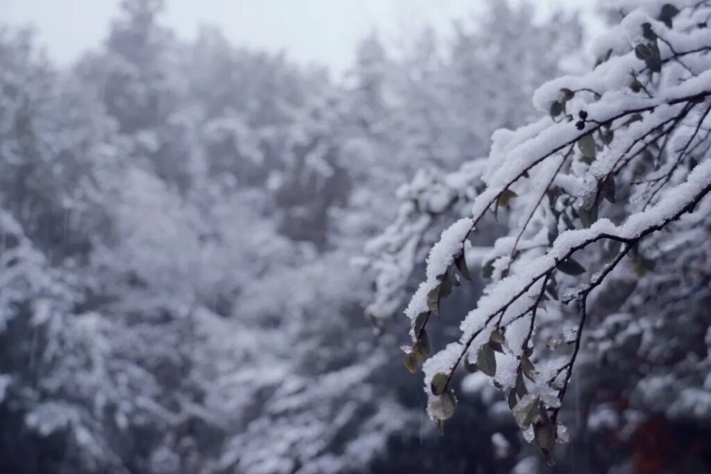 雪后的衢江如水墨丹青