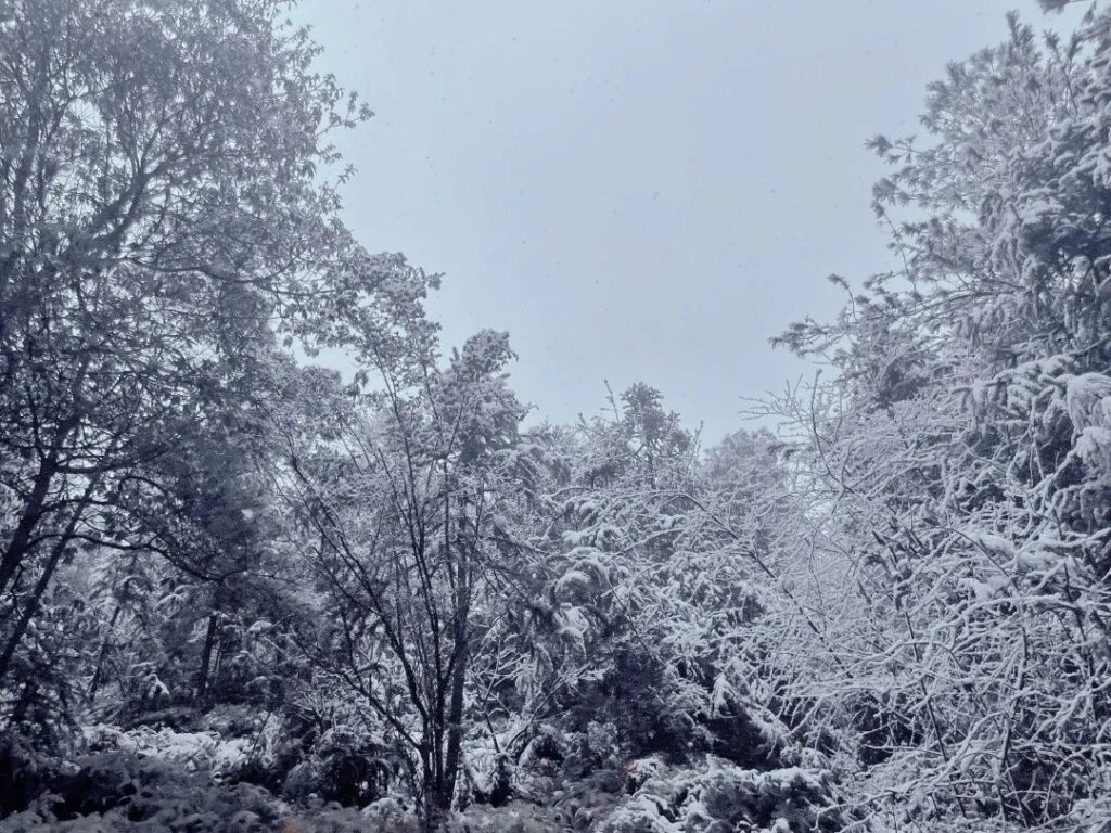 雪后的衢江如水墨丹青