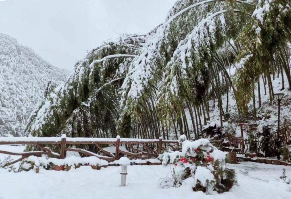 雪后的衢江如水墨丹青