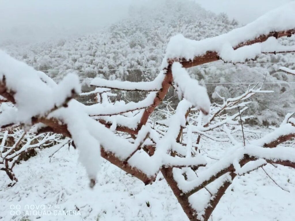 雪后的衢江如水墨丹青