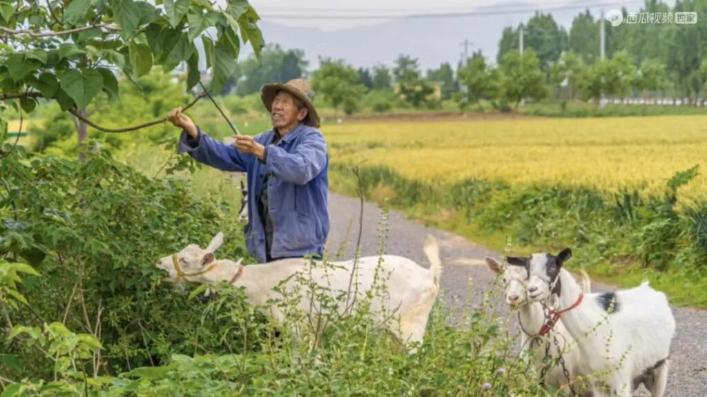 治愈系“村口摄影师”！贵州小伙进入深山拍下百位老人笑脸