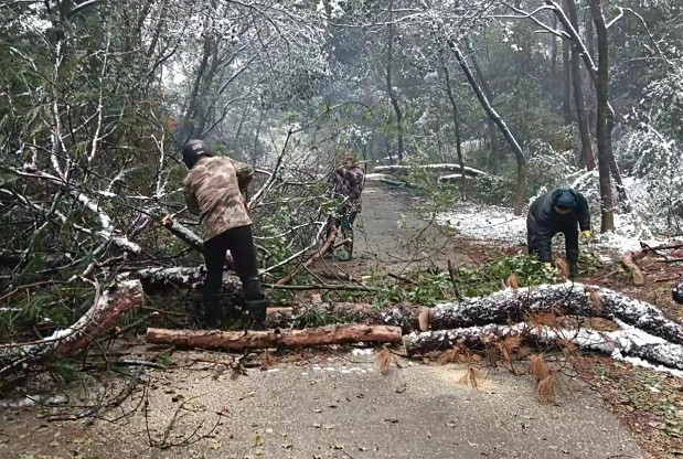 我县应对雨雪冰冻天气，TA们出动了……