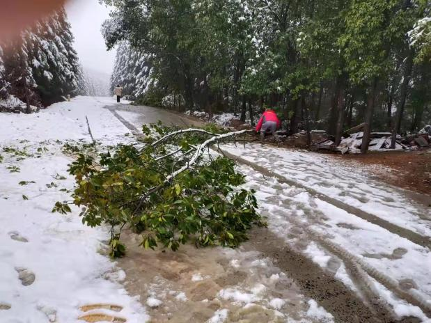 我县应对雨雪冰冻天气，TA们出动了……