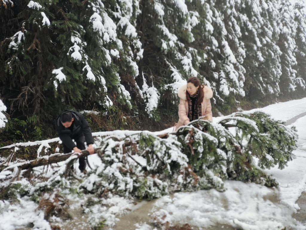 我县应对雨雪冰冻天气，TA们出动了……