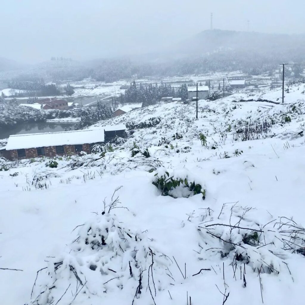 杨桥镇：冰雪路上的暖心行动