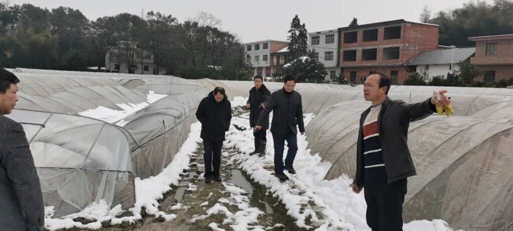 杨桥镇：冰雪路上的暖心行动