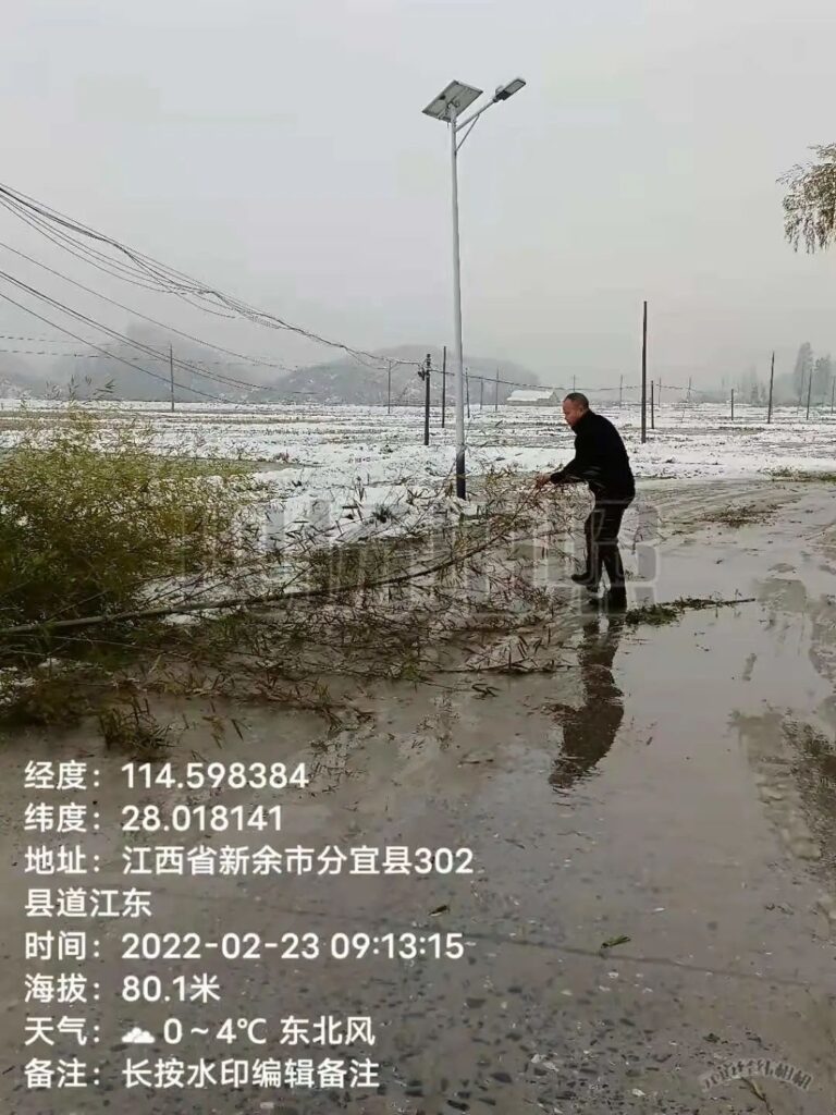 杨桥镇：冰雪路上的暖心行动